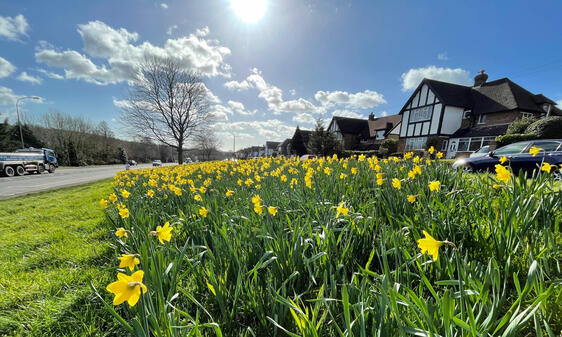 A pretty picture to break up the text